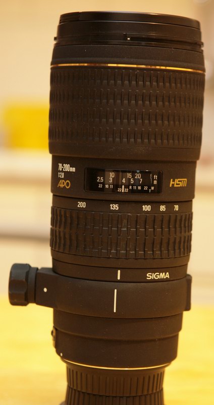 Sigma_24-70_70-200_F5_T1-2 s_Flash azionato [on]_400_04_a.jpg