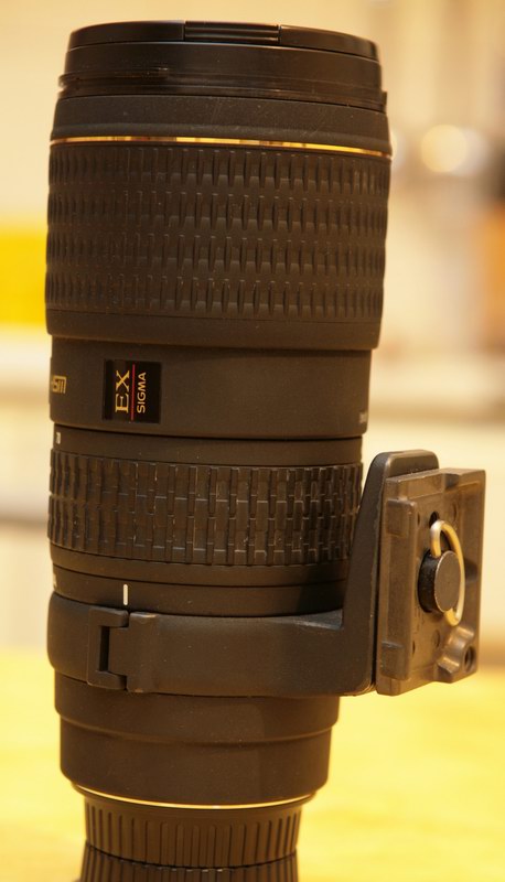 Sigma_24-70_70-200_F5_T1-2 s_Flash azionato [on]_400_05_a.jpg