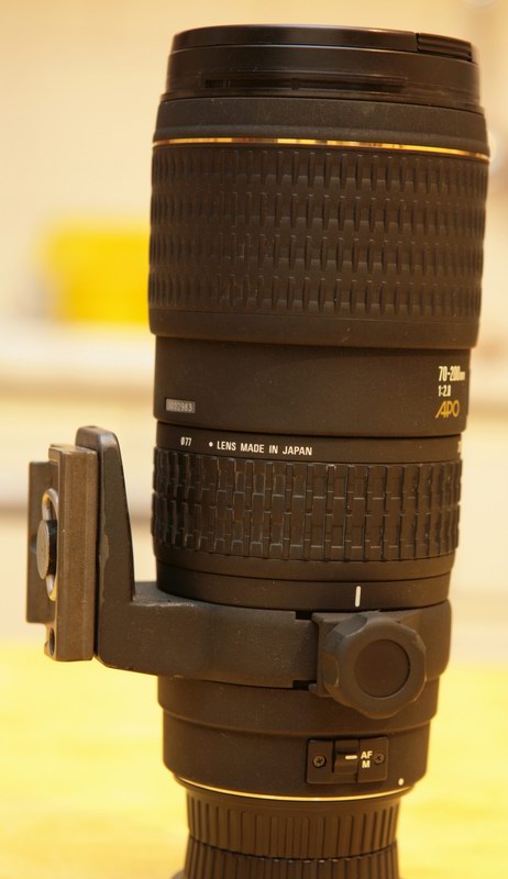 Sigma_24-70_70-200_F5_T1-2 s_Flash azionato [on]_400_06_a.jpg