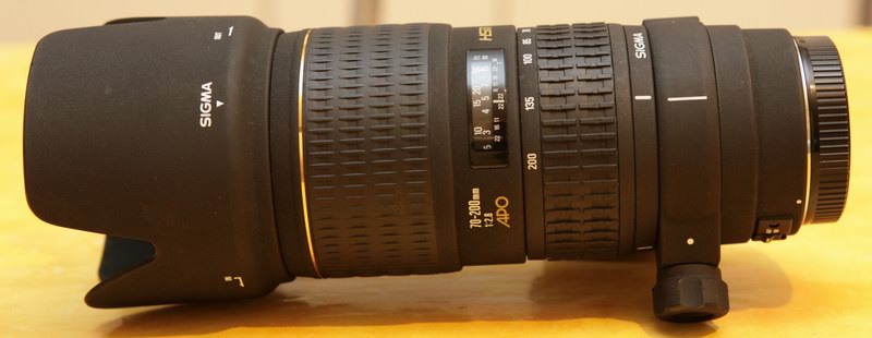 Sigma_24-70_70-200_F5_T1-2 s_Flash azionato [on]_400_16_a.jpg