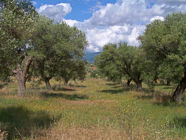 smallhdr1.jpg
