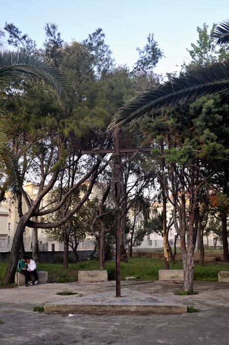 snfbari 012.jpg