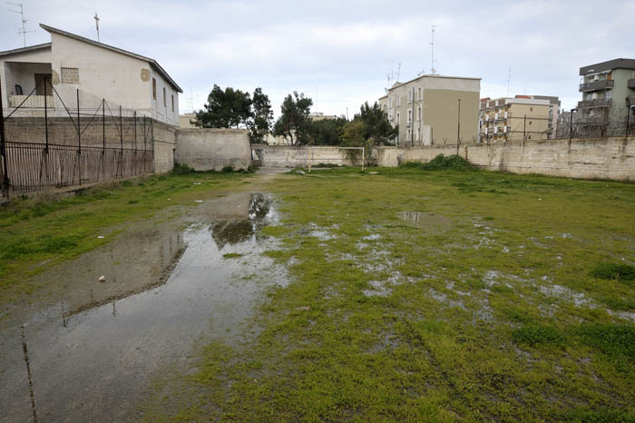 snfbari 09.jpg