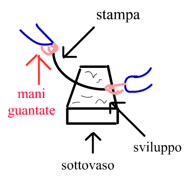sottovasi.gif