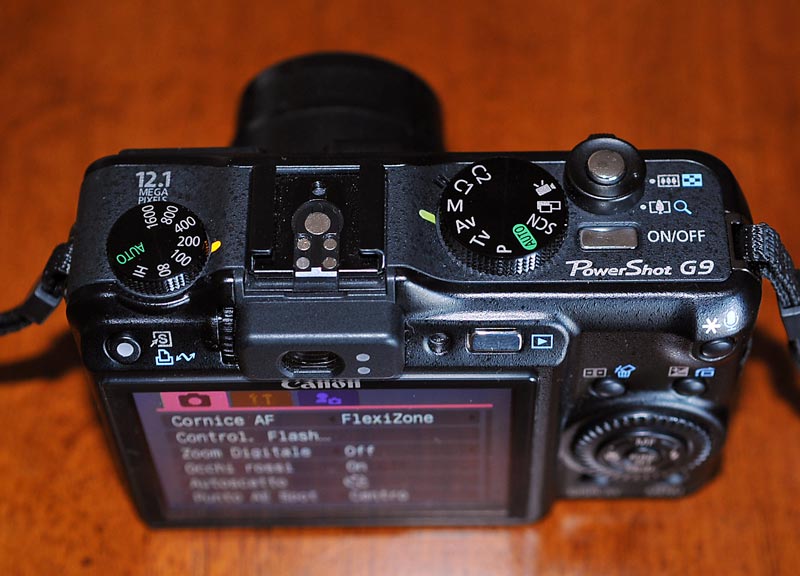 STF_8105.jpg