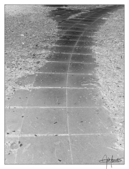strada_bn.jpg