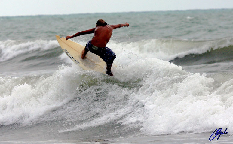 surf1.jpg