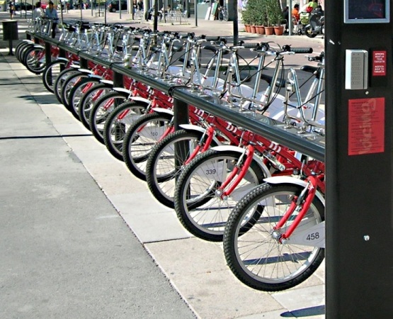 taglioquad.jpg