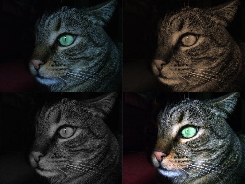 test1.jpg