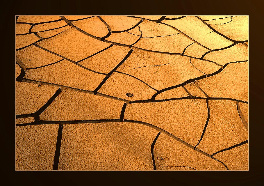 the earth's skin 1.jpg