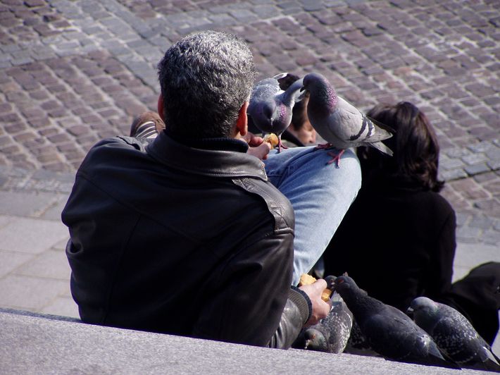 The Last Parisians 3.jpg