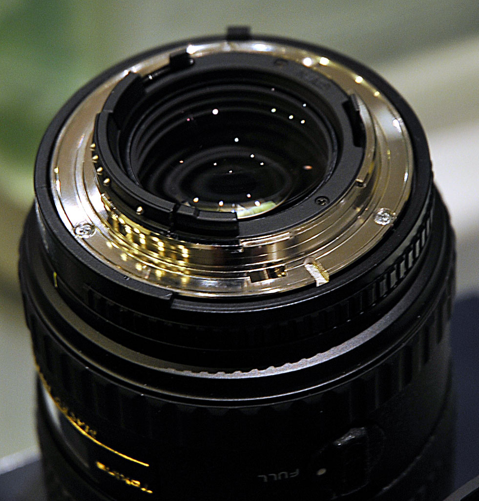 Tokina macro 2.jpg
