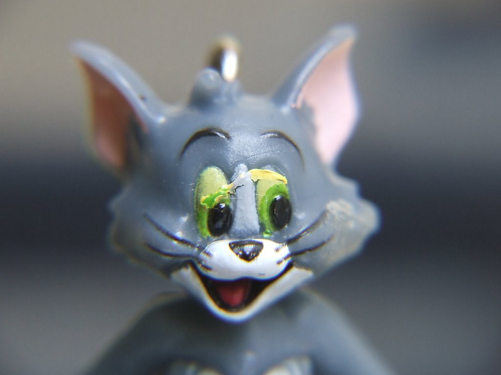 TOM.jpg