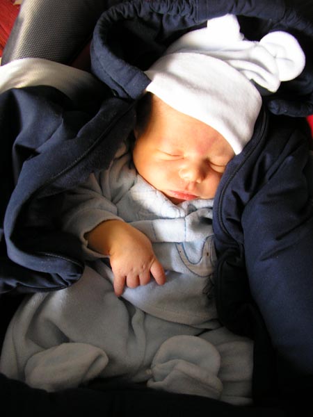 tommaso3.jpg