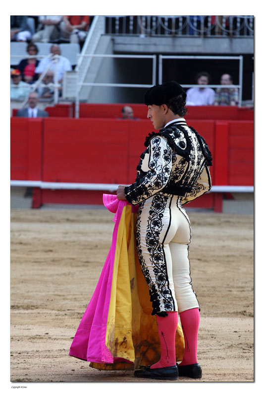 Torero2.jpg