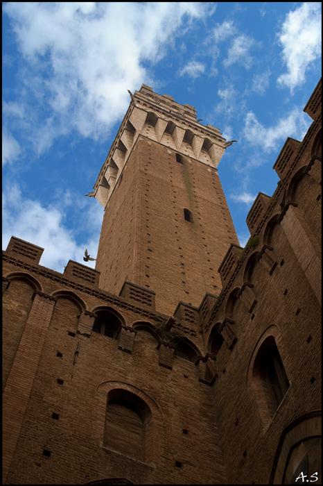 Torre2.jpg