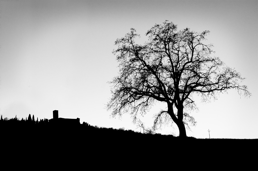 Toscana_Pienza_374WEB.jpg