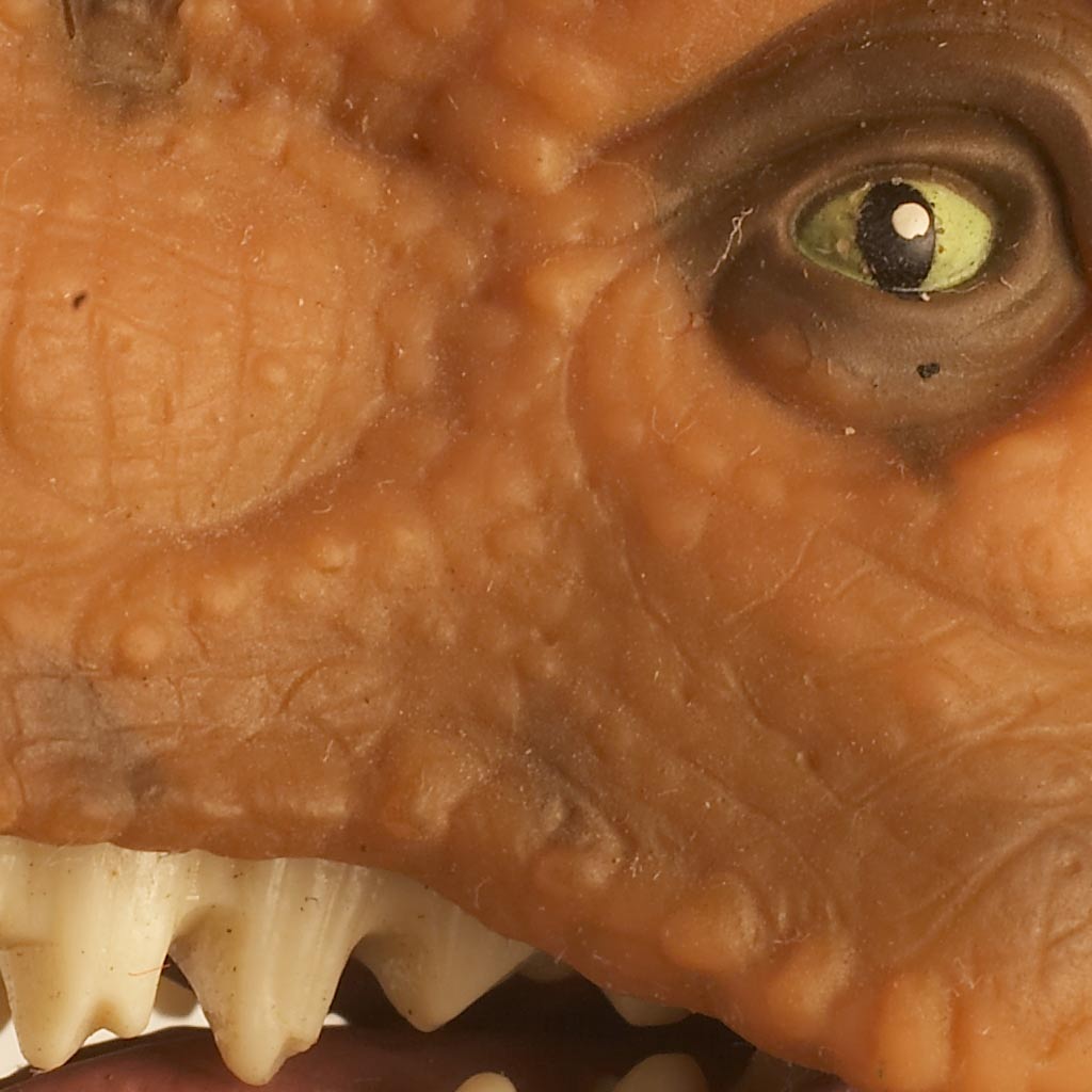 trex-crop.jpg