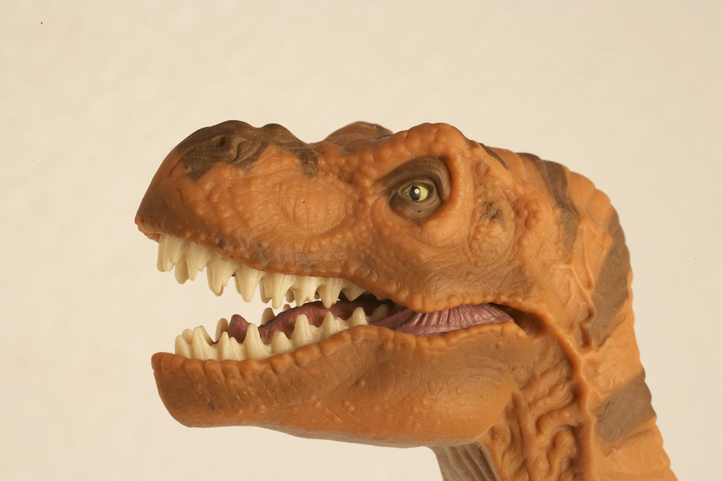 trex.jpg