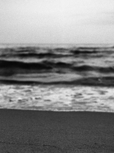 tri-x 400@3200-microphen.jpg