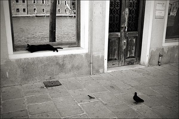 Trio90.jpg