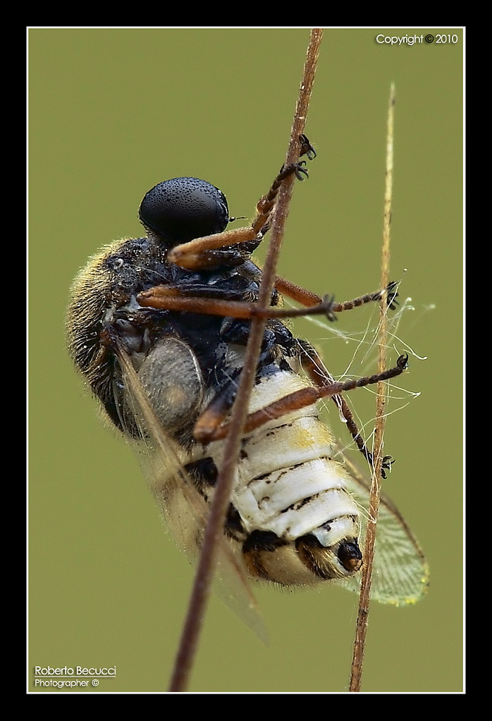 Unknown1.jpg