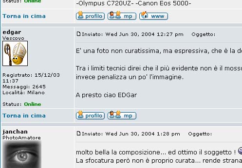 Untitled-1 copy.jpg