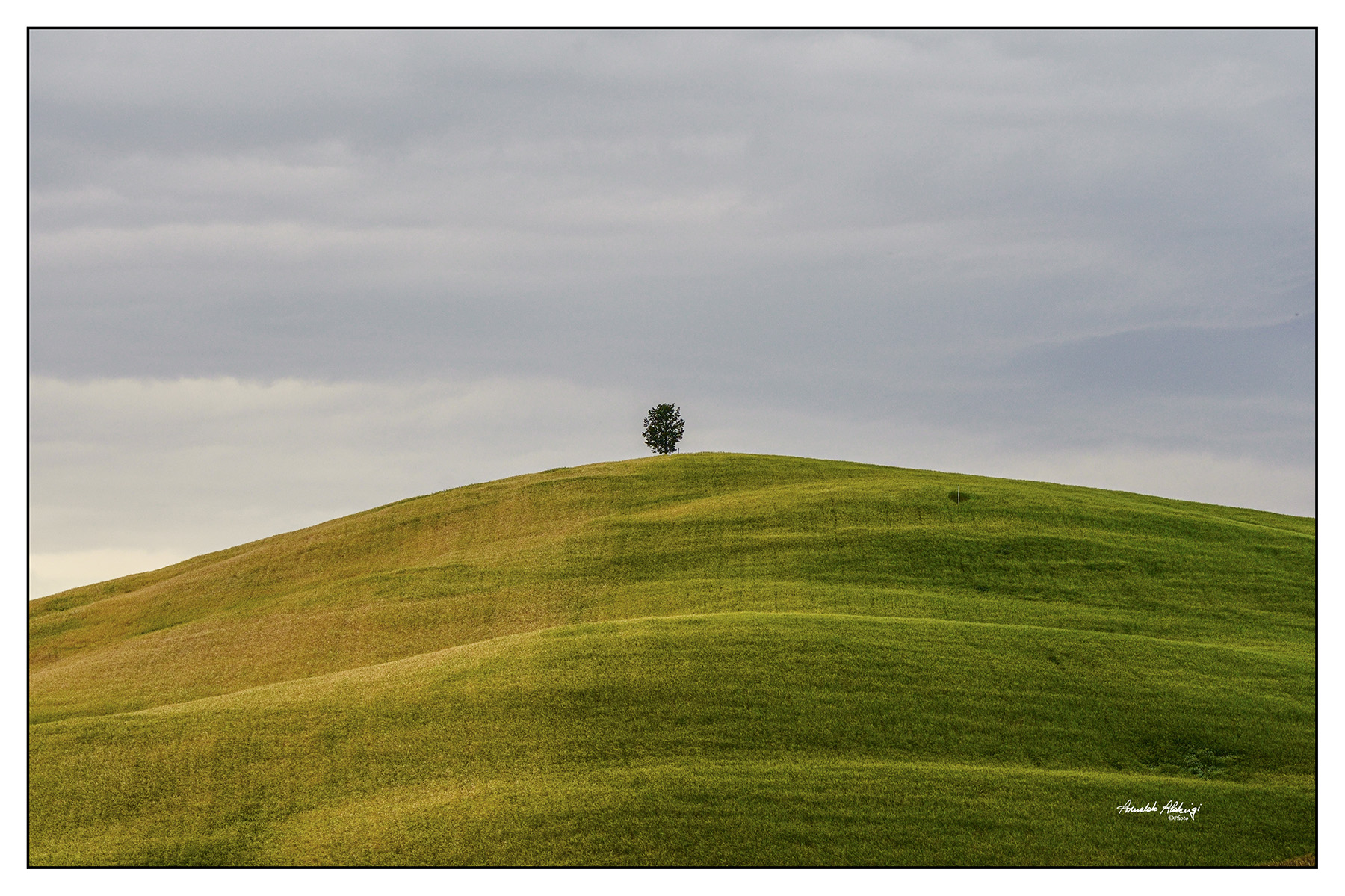 Val D'orcia 28-05-22-071- copia.jpg