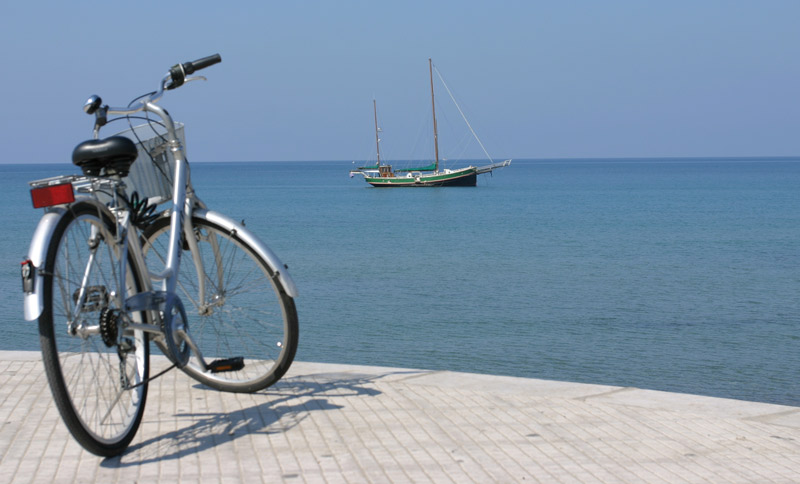 velaaaabici.jpg