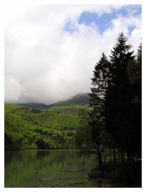verde_chiaroscuro.jpg