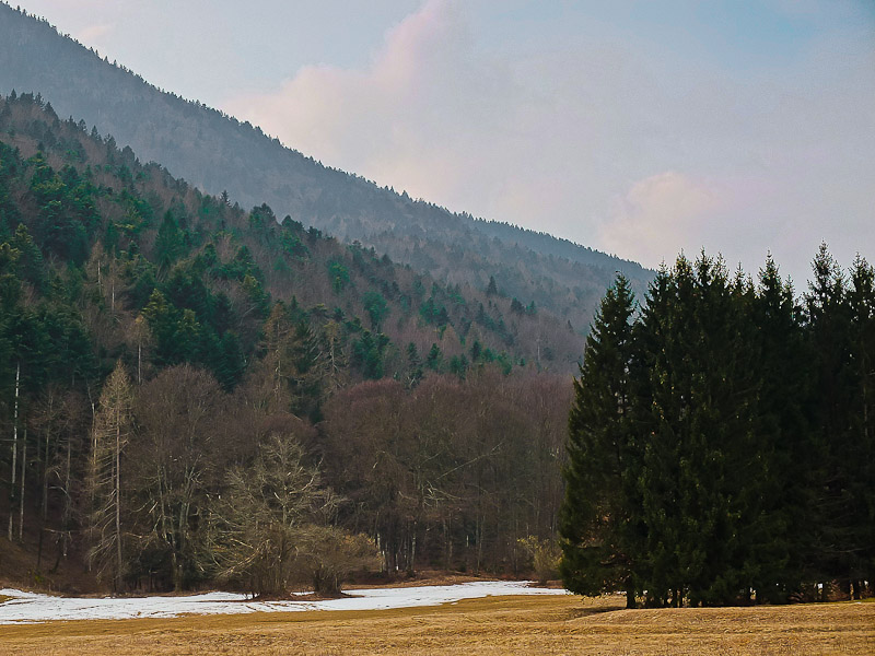 Vigezzo_800-200k.jpg