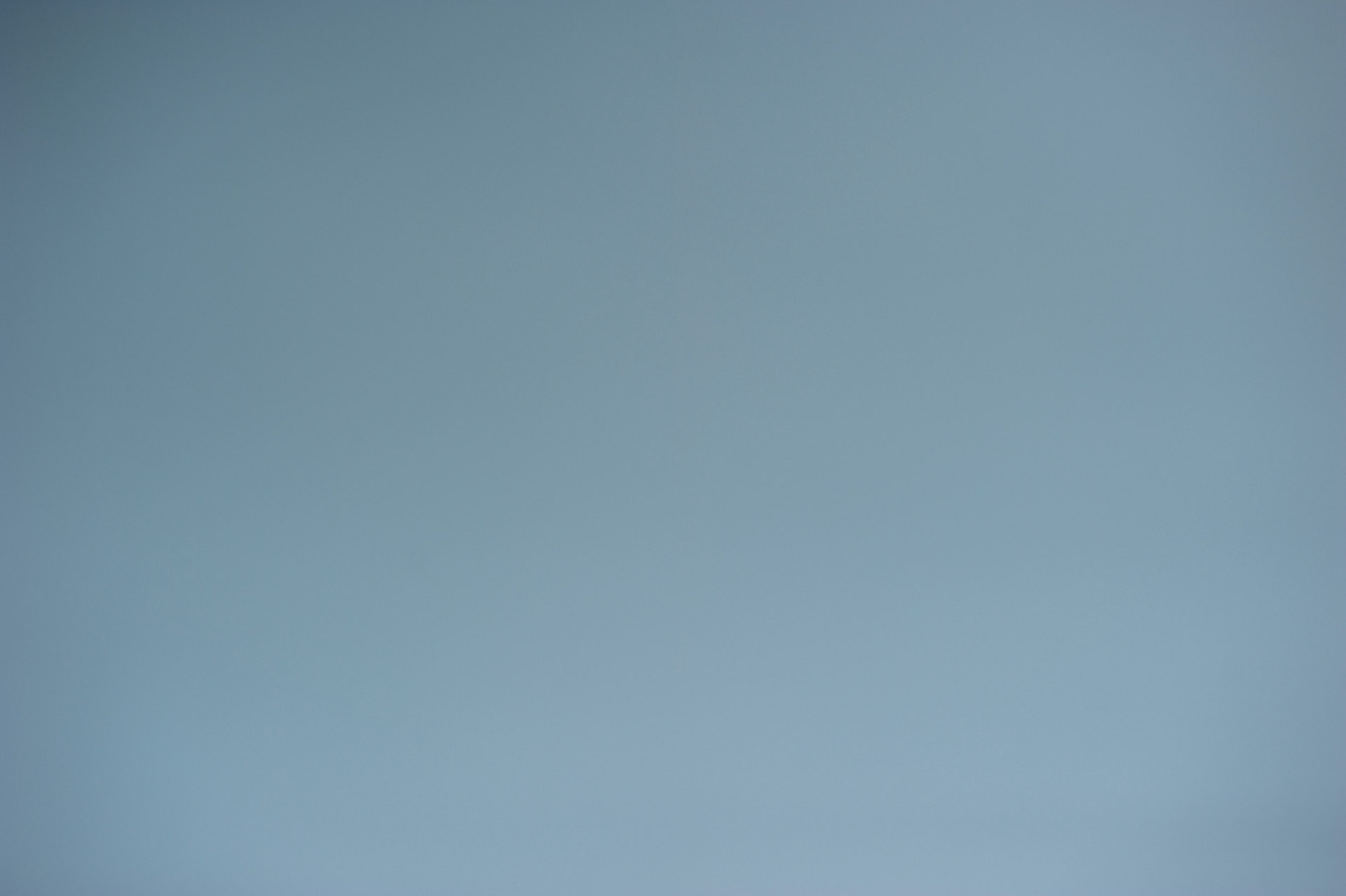 Vignetta 4 leica-1 piccolo.jpg