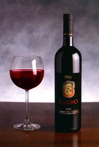 vino6.jpg