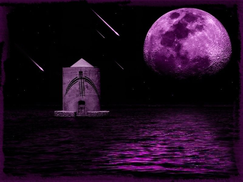 Violet_2_zm29.jpg