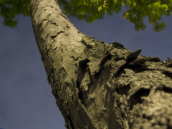Walking in Singapore Suburbs-1704.jpg