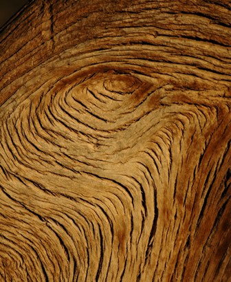 wood.JPG