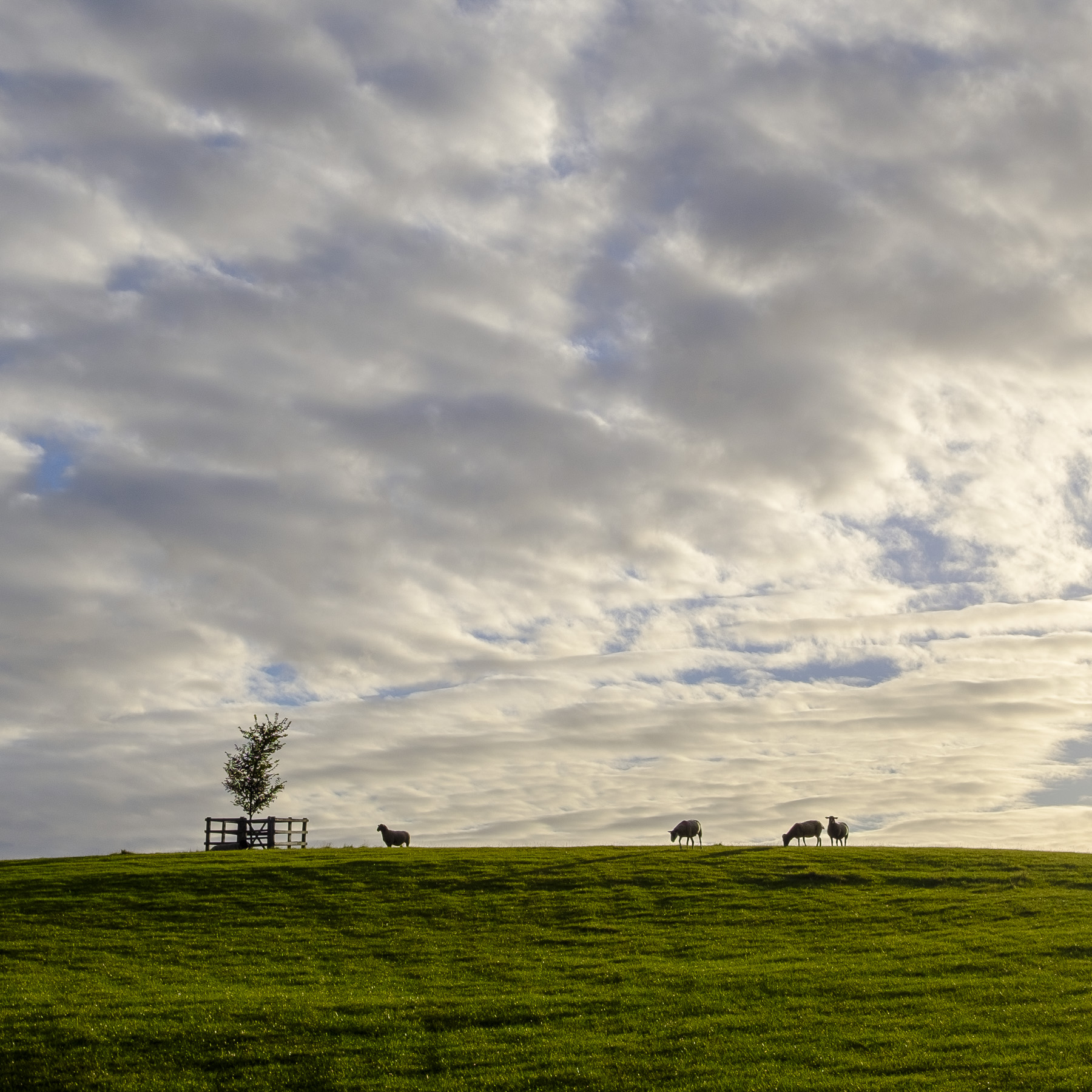 Woodham Mortimer, Maldon, Essex, September 2020.jpg