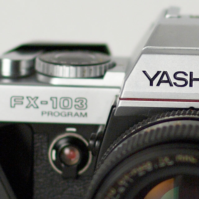 ya-crop-1.8.jpg