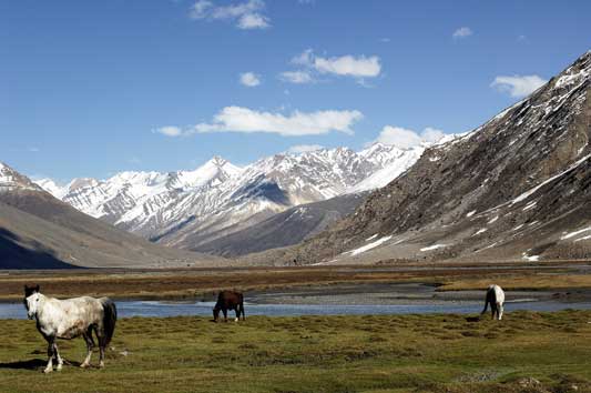 Zanskar-Rangdum.jpg