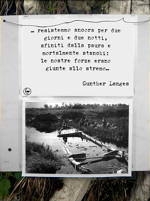 Foto: 10