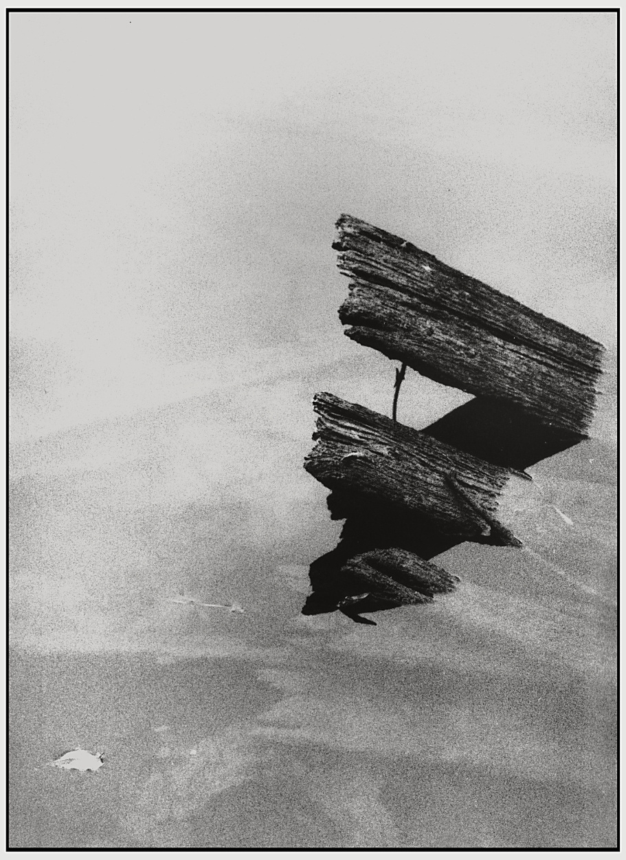 Foto: 10
